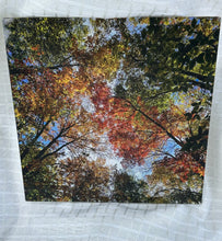Load image into Gallery viewer, Austin Photographs

