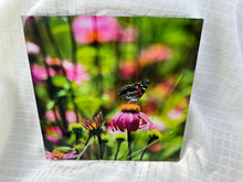 Load image into Gallery viewer, Austin Photographs

